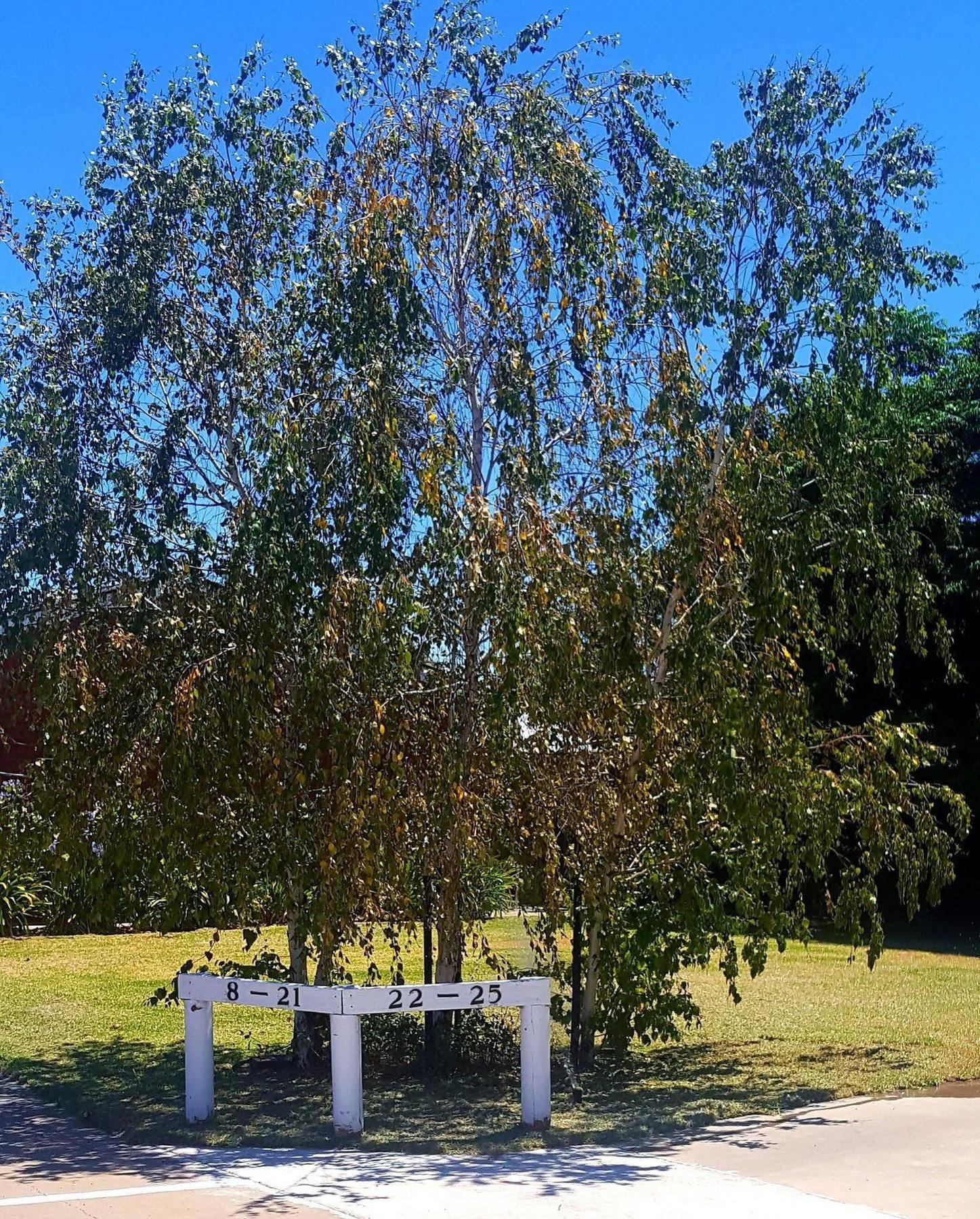 Centrepoint Motel Deniliquin Luaran gambar